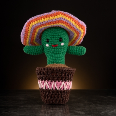 pablo the crochet cactus 