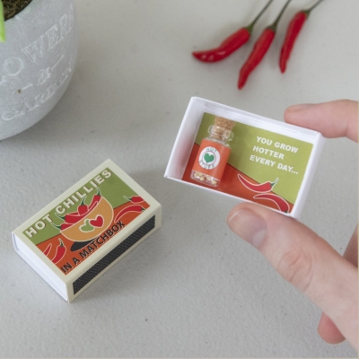 marvling bros grow your own tabasco chilli in a matchbox